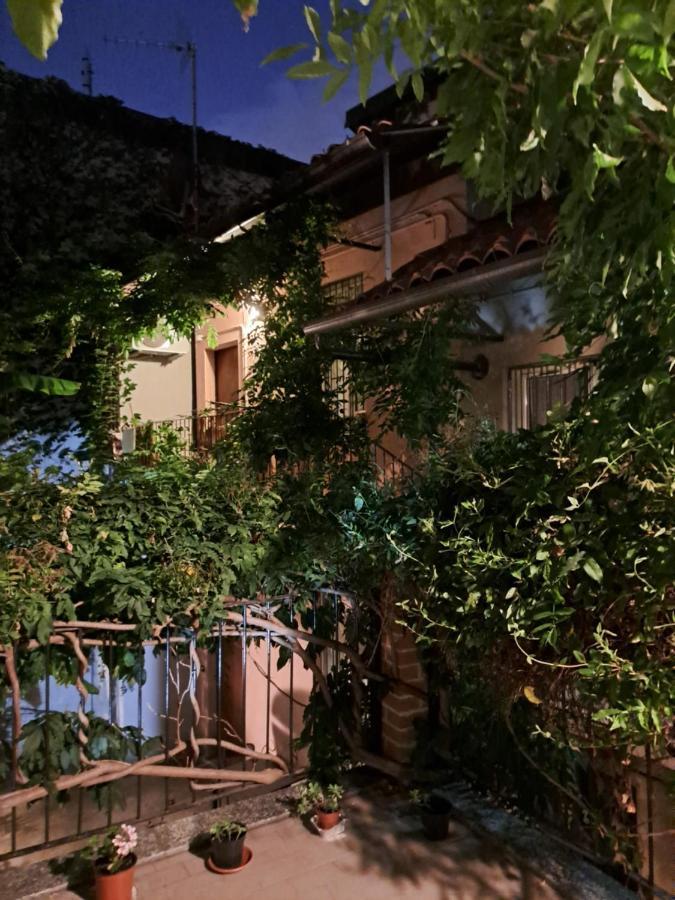 Musa Paradisiaca Turin Exterior foto